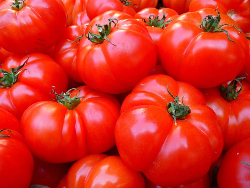La Tomatina Festival
